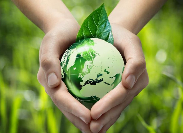 Aldea y la ecología